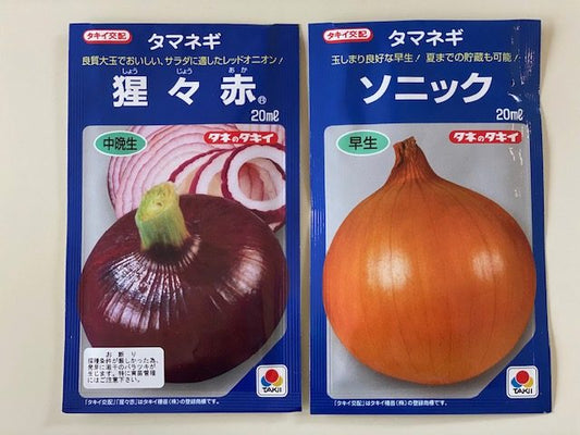 玉ねぎ苗受付開始
