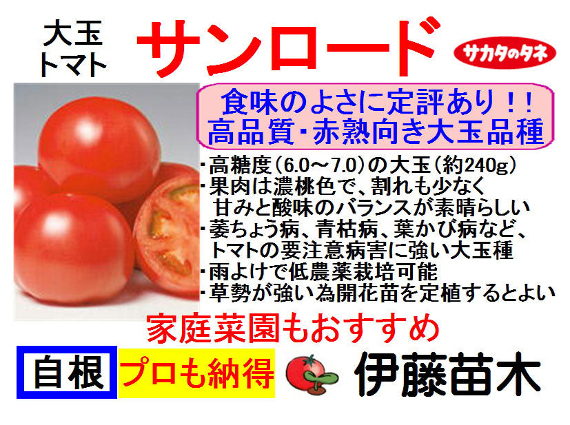 サンロード(断根自根)