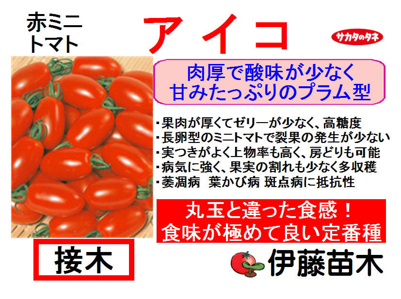 アイコ(断根接木)