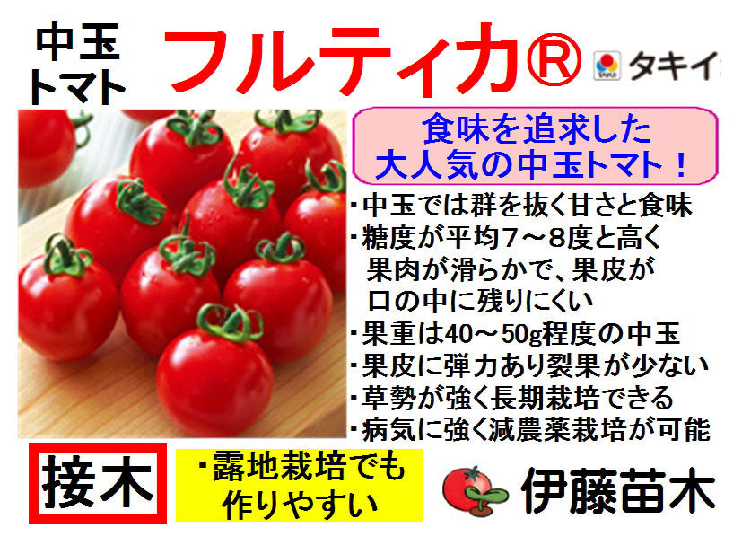 フルティカ(断根接木)