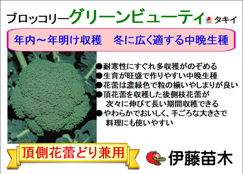 グリーンビューティ ブロッコリー