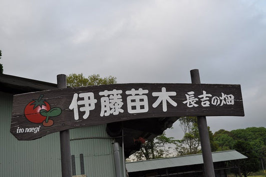 毎日休まず営業中【伊藤苗木までの道案内】