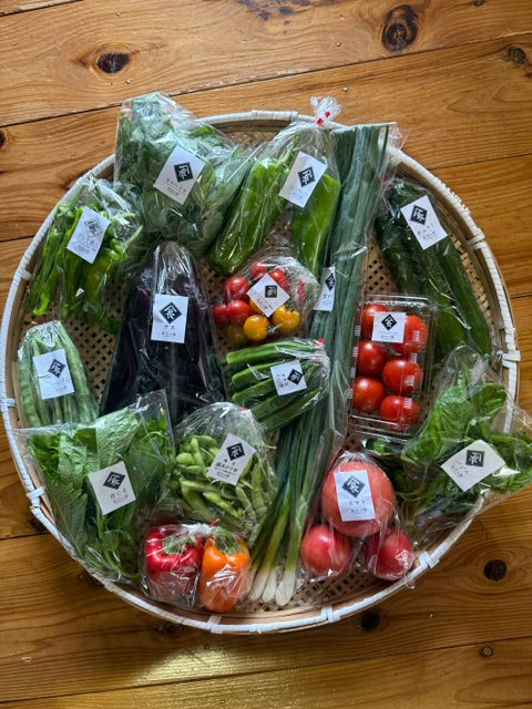 『朝どれ野菜のベジバリー』出荷開始です！