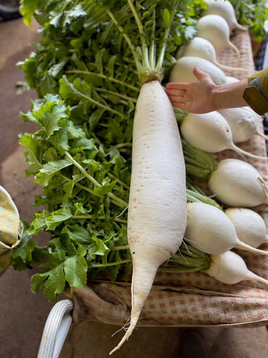 年末年始のお知らせ