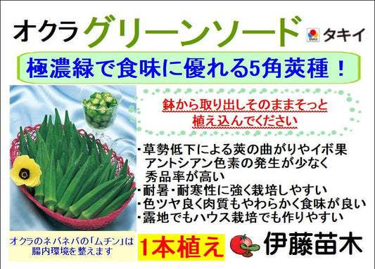 グリーンソード(1本立ち)