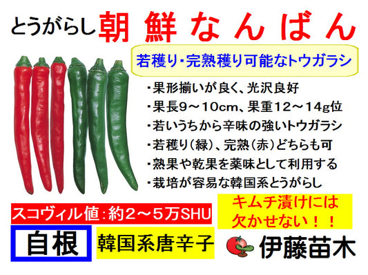 朝鮮南蛮