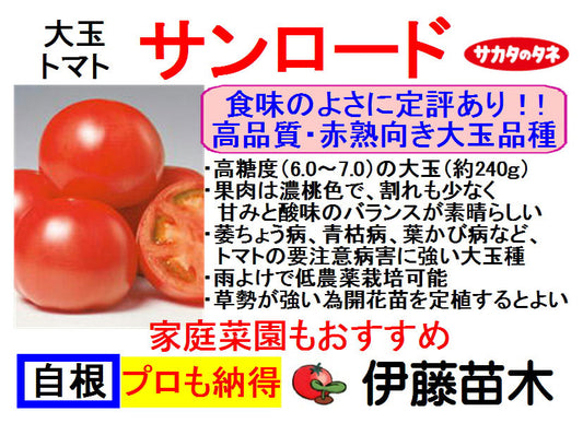 サンロード（断根自根）