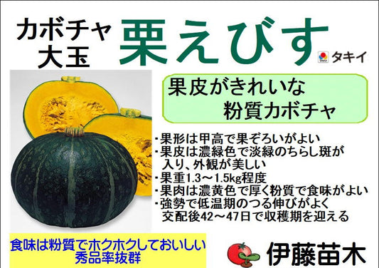 栗えびす