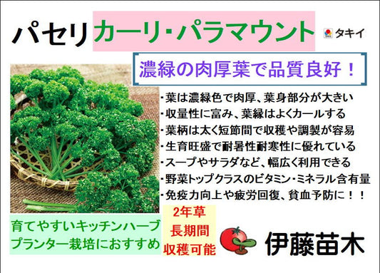 カーリ・パラマウント