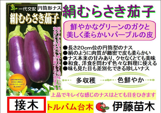 絹むらさき茄子