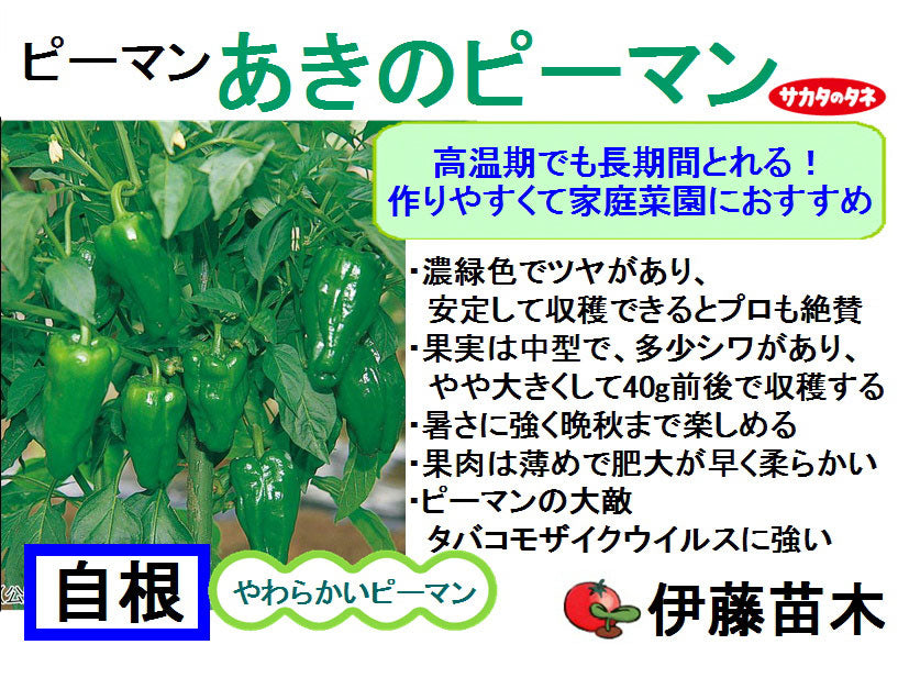 あきの