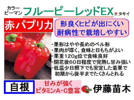 フルーピーレッドＥＸ