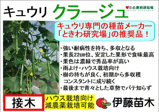 クラージュ