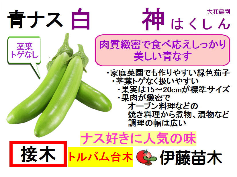 白神