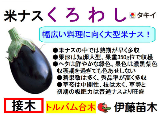 くろわし