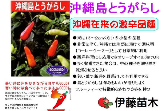 沖縄島とうがらし