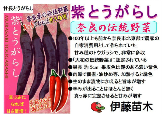紫とうがらし