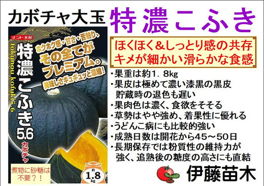 特濃こふき