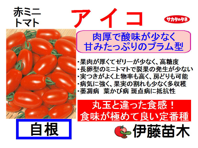 アイコ（断根自根）