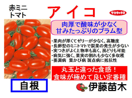 アイコ（断根自根）