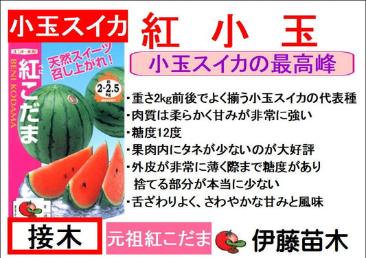 紅小玉