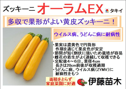 オーラムEX