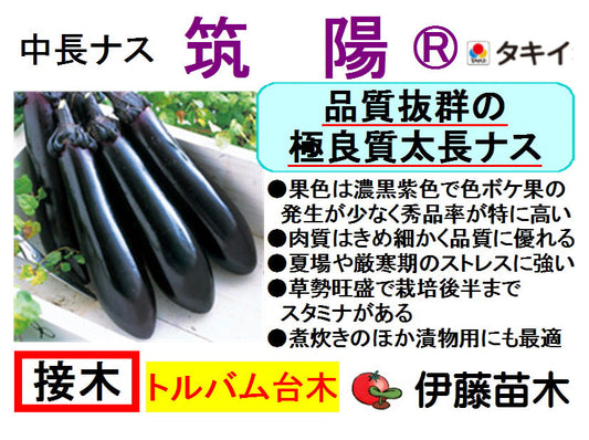 筑陽（断根接木）