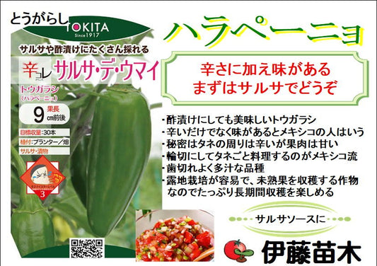 ハラペーニョ