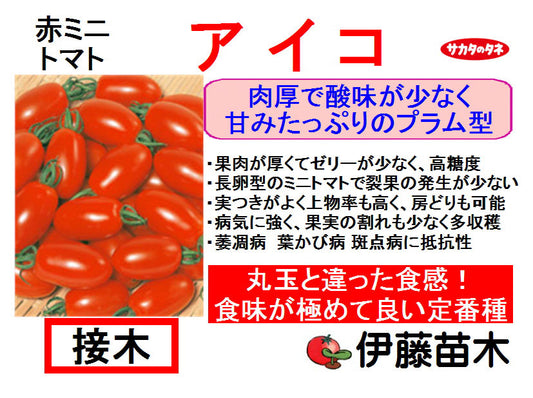 アイコ（断根接木）