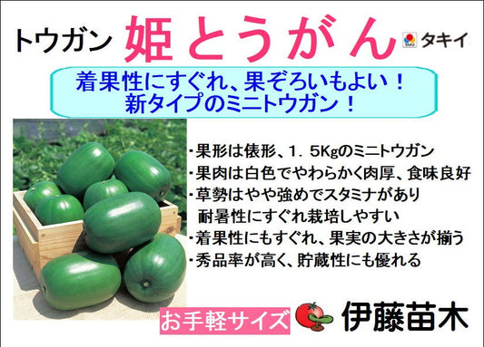 姫とうがん