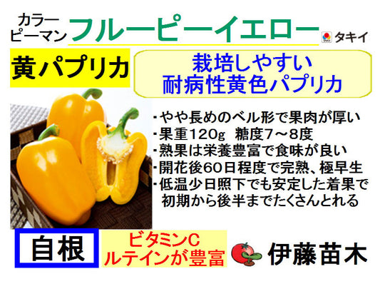 フルーピーイエロー