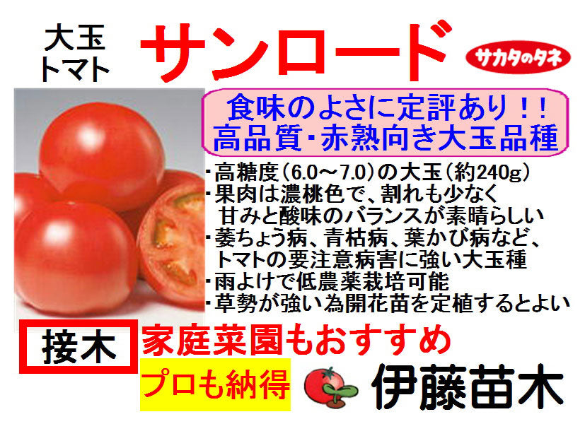 サンロード（断根接木）