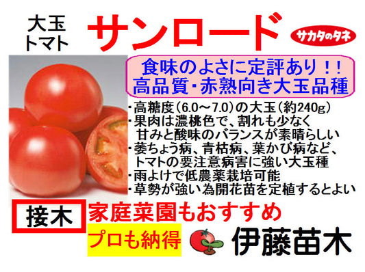 サンロード（断根接木）