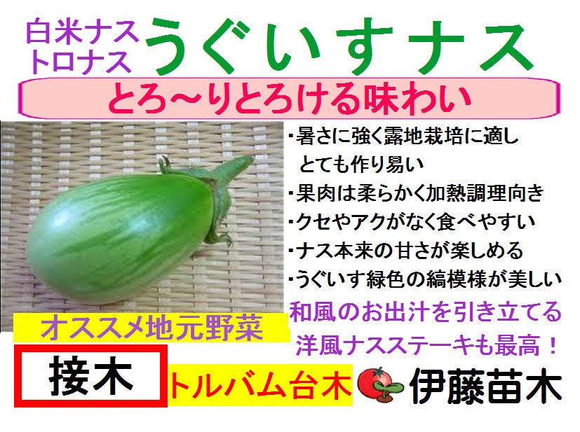うぐいす