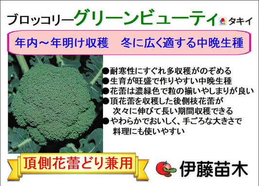 グリーンビューティ　ブロッコリー