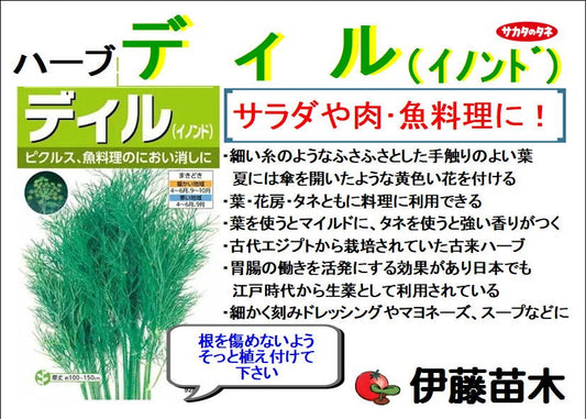 ディル