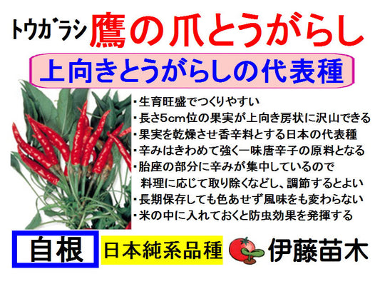鷹の爪