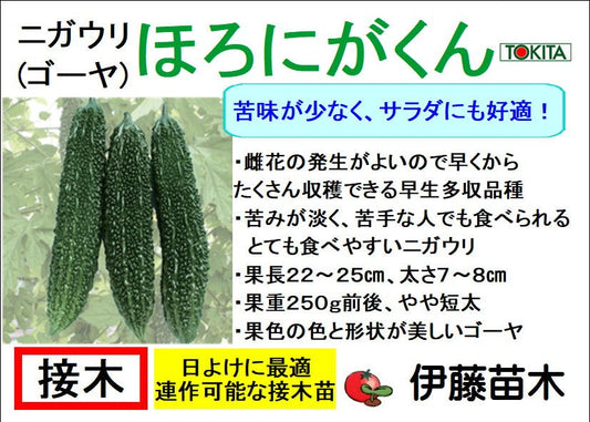 ほろにがくん