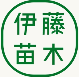 伊藤苗木